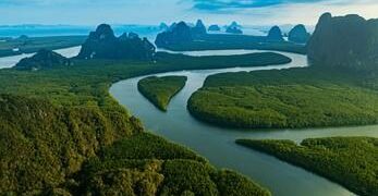 The heart-shaped mangrove formation fading due to rising seas – The Guardian