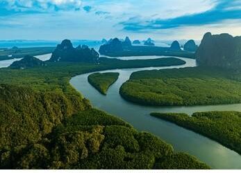 The heart-shaped mangrove formation fading due to rising seas – The Guardian