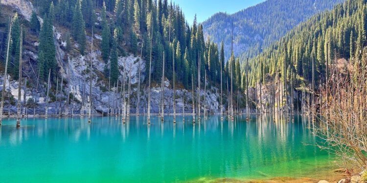 Kazakhstan, Sierra Leone enhancing bilateral cooperation – qazinform.com