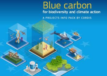Assessing blue carbon in mangrove ecosystems of Seychelles – ScienceDirect.com