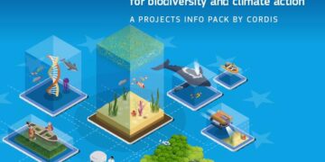 Assessing blue carbon in mangrove ecosystems of Seychelles – ScienceDirect.com