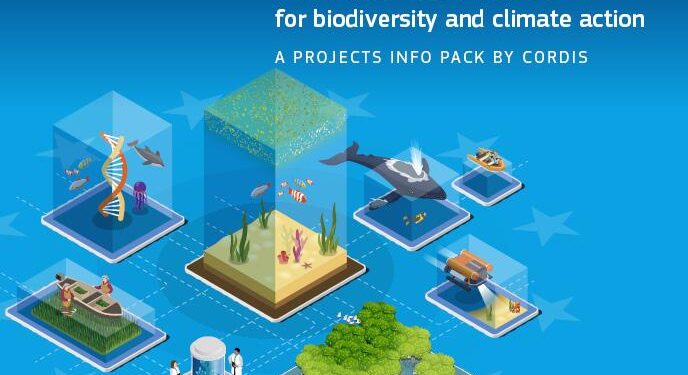 Assessing blue carbon in mangrove ecosystems of Seychelles – ScienceDirect.com