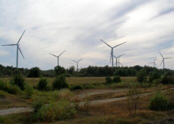 Eco studies underway at Estonian–Latvian wind park – 4C Offshore