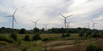 Eco studies underway at Estonian–Latvian wind park – 4C Offshore