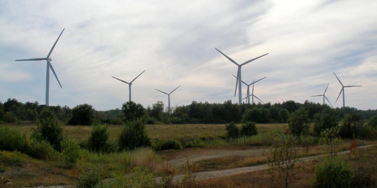 Eco studies underway at Estonian–Latvian wind park – 4C Offshore