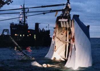 Estonia expels Russian diplomat over interference and ‘crimes against the state’ – Euronews.com