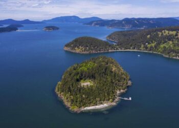 Trump island sparks outrage in Albania — MADE – DW