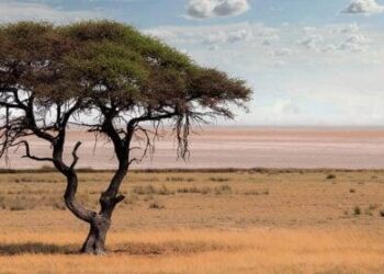 Botswana declares public health emergency as clinics run out of medicine – Reuters