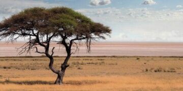 Botswana declares public health emergency as clinics run out of medicine – Reuters