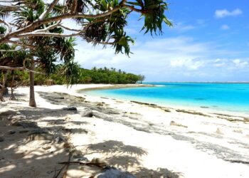 Vanuatu reports 89 cases of whooping cough in outbreak – RNZ