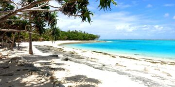 Vanuatu reports 89 cases of whooping cough in outbreak – RNZ