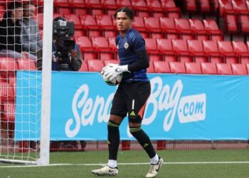 Pierce Charles: Northern Ireland goalkeeper ruled out of World Cup qualifiers – BBC