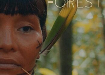 Fight to save last forests of the Comoros unites farmers, NGOs – Phys.org