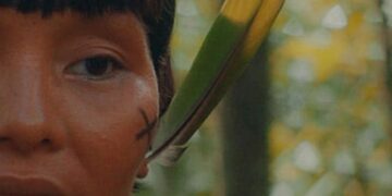 Fight to save last forests of the Comoros unites farmers, NGOs – Phys.org