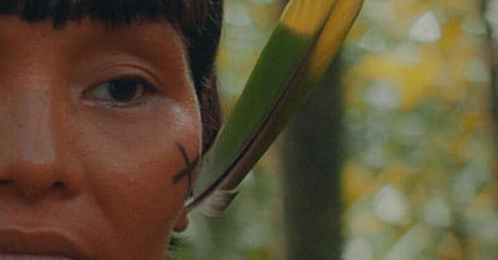 Fight to save last forests of the Comoros unites farmers, NGOs – Phys.org