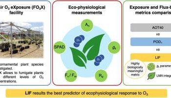 ‘The Stranger’ review: Francois Ozon adapts 1940s Algeria-set novella into artful character study – Screen Daily