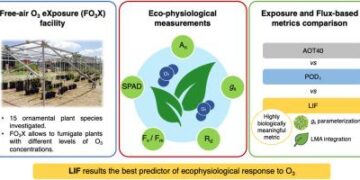 ‘The Stranger’ review: Francois Ozon adapts 1940s Algeria-set novella into artful character study – Screen Daily