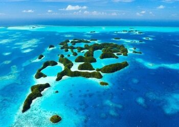 News – Face of Defense: Palau Native Marine Returns to Island Home – DVIDS