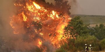 Spain’s wildfires were not deliberately set for building projects – Euronews.com