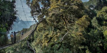 Rwanda confirms it received seven immigrants deported under Donald Trump – Al Jazeera