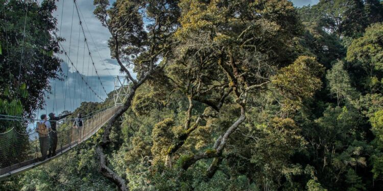 Rwanda confirms it received seven immigrants deported under Donald Trump – Al Jazeera