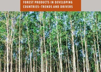 Mauritius advances forest financing through national capacity-building workshop – Welcome to the United Nations