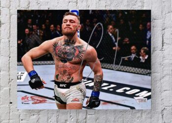 Conor McGregor’s bid to be Ireland’s president hits snag, UFC star asks for help – USA Today