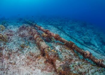 Undersea cables cut in the Red Sea, disrupting internet access in Asia and the Mideast – Meadville Tribune