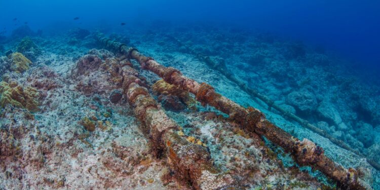 Undersea cables cut in the Red Sea, disrupting internet access in Asia and the Mideast – Meadville Tribune