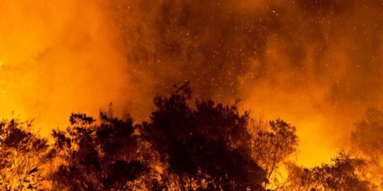 Extreme fire weather conditions in Spain and Portugal now common due to climate change – World Weather Attribution