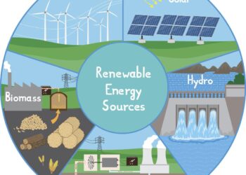 Everything to Know About Renewable Energy in Djibouti – The Borgen Project