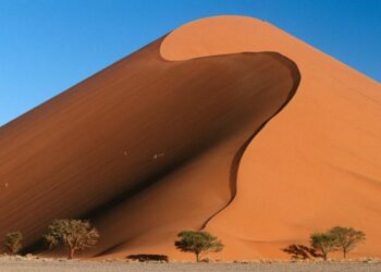 Namibia holds key lending rate on global policy uncertainty – Reuters