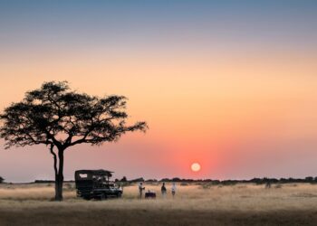 Tanzania bans South Africa and Malawi imports as trade row escalates – BBC