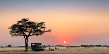 Tanzania bans South Africa and Malawi imports as trade row escalates – BBC