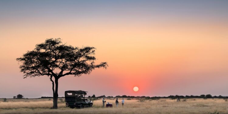 Tanzania bans South Africa and Malawi imports as trade row escalates – BBC