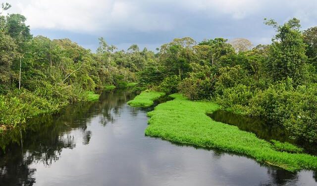 Gabon’s leader Nguema elected president with 90.35% of vote, interior minister says – Reuters