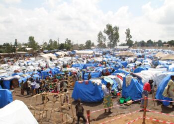 DRC refugee surge strains humanitarian support in Burundi and Uganda – UN World Food Programme