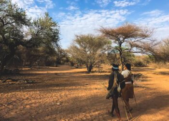 What Caused Botswana’s Public Health Emergency? – Foreign Policy