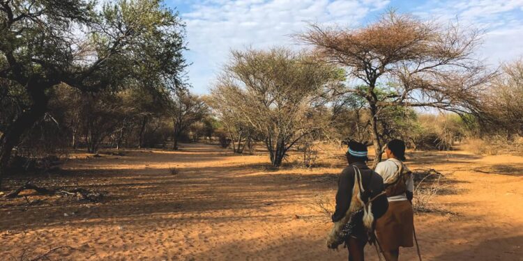 What Caused Botswana’s Public Health Emergency? – Foreign Policy