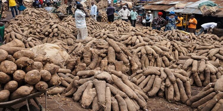 Benin Yam Festival has long history, but environmental threats loom – New York Amsterdam News