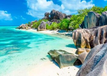 Seychelles officially starts presidential campaign ahead of September election – trtworld.com