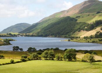 Wales vs Liechtenstein – Predicted lineup and team news – ca.sports.yahoo.com