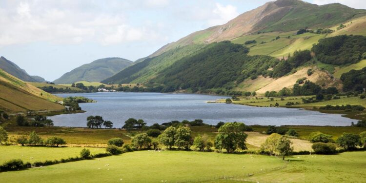 Wales vs Liechtenstein – Predicted lineup and team news – ca.sports.yahoo.com