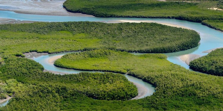 Guinea-Bissau shuts down 2 Portuguese media outlets, expels their journalists – Committee to Protect Journalists