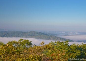Turkey Mountain holds Take Back Our Trails event – KTUL
