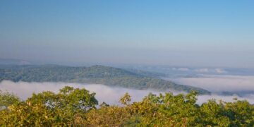 Turkey Mountain holds Take Back Our Trails event – KTUL