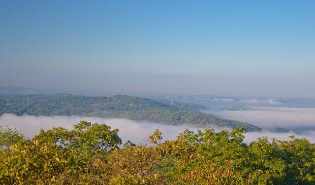 Turkey Mountain holds Take Back Our Trails event – KTUL