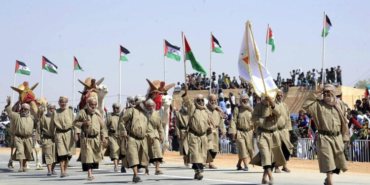 US exploring an economic solution to Western Sahara conflict after 50 years of stalemate – EL PAÍS English