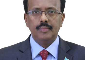 Somali President Calls for Cease-Fire After Deadly Fighting – VOA – Voice of America English News
