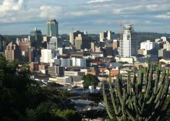 Zimbabwe Vs Namibia, 3rd T20I: Jan Frylinck Scores 3rd Fastest Fifty As NAM Beat ZIM By 28 Runs – Outlook India